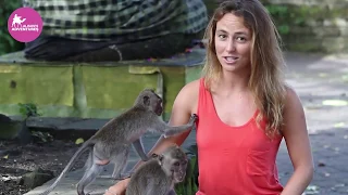 Alison Teal Monkey Business 