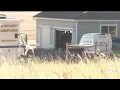 Four adults found dead after shooting near Peyton last night
