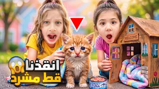 قط مشرد بالشارع صفا ولولو أنقذوه ودخلو عالبيت 😱صارو يهتمو فيه وعملوله شاور