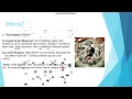 environmental stressors environmental psychology bs level
