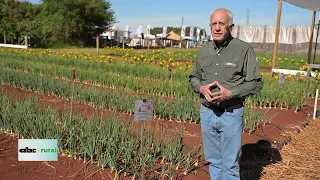 Directivo de semillas Agritu de Brasil estuvo en Hortipar 2026