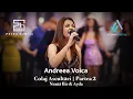 Lagu Andreea Voica - Colaj Ascultari | Partea 2 | Nunta Ilie \u0026 Ayda