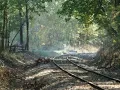 Gentle On My Mind -  Lyrics - Glen Campell