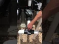 Explanation of Skimmer and Main Drain