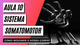 Videoaula 10 Sistema somatomotor (PARTE 1) - COMO MOVEMOS O NOSSO CORPO?