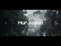 MUR XOPUN - [ Lofi-Remake ] | BHASKAR OPSWEL & AAKANGKHYA DAS | PINKAL PRATYUSH