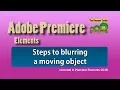 Premiere Elements - Steps to blurring a moving object