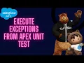 Salesforce Apex Development Execute Exceptions From Apex Unit Test