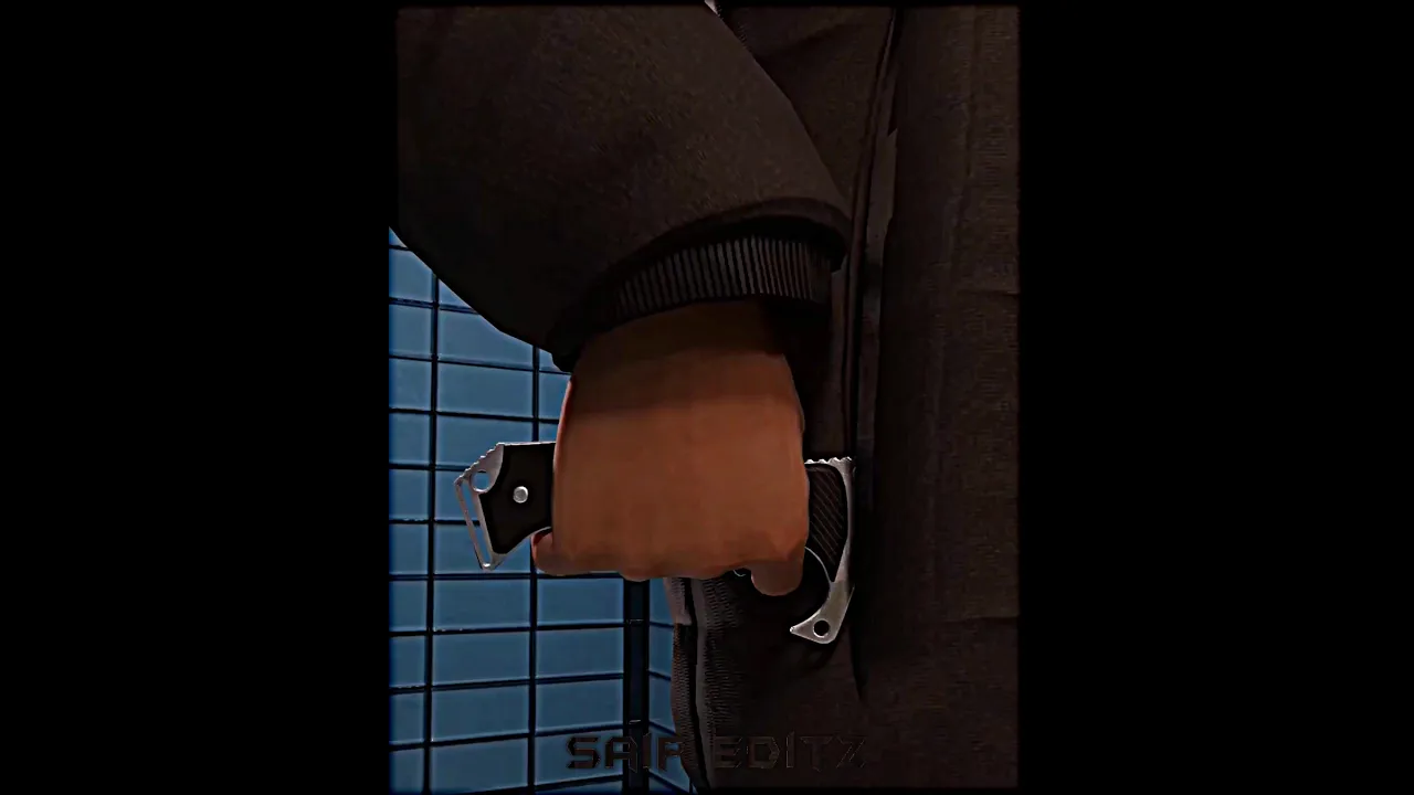 Thief Attack π