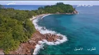 مش فرقة كتير   نانسى عجرم دندنها