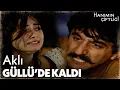 Lagu Güllü Kaçmayı Başaramadı!   |   Hanımın Çiftliği