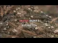 Download Lagu PAK PENGHULU DINA MARIANA Indonesian Malay Karaoke