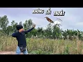 Download Lagu Tuấn nhỏ || chạy vỏ lải săn cò bợ đậu trên dớn cùng team và nấu nướng ăn cơm tại chỗ cực ngon...