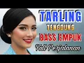 Download Lagu TARLING TENGDUNG  BASS EMPUK FULL PERJALANAN SPESIAL__ LAGU DAERAH PANTURA