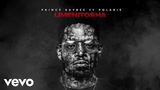 prince kaybee umenitosha visualizer ft polaris