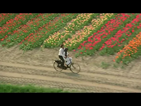 Download MP3 Bhavre Ne Khilaya Phool Phool Ko Le Gaya Rajkumar,,, hindi full HD video songs