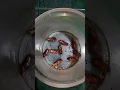 Download Lagu Ang daming ipis#cockroach #shorts