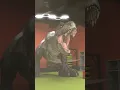 Download Lagu Don't mess with T-Rex | T-Rex Meme 04