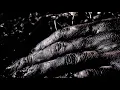 Terrorpy - Transcendence Through Amputation (OFFICIAL LYRIC VIDEO)
