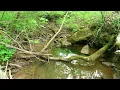 Seay Hollow Rd Bulls Gap TN 37711 - 249 900