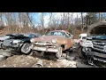 Junkyard Exploration 1954 Plymouth Savoy - LKQ Pick Your Part