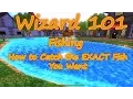 Wizard101 Fishing - How to catch the Exact fish you are looking for Rare Epic or Common