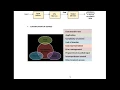 Input-Output Management