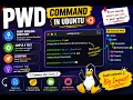 Linux pwd Command Explained with Examples Ubuntu Terminal Basics