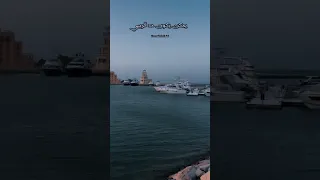 حوده بندق هاتولي واحد يرقيني 