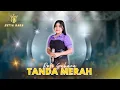 Download Lagu TANDA MERAH - ROFI SAHARA | SETIA NADA Music Live Rejoso