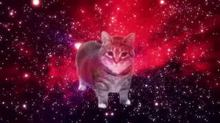 ريمكس القطة  أو أي أي أا أي                 دندنها