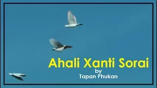 uri uri jai ahali xanti sorai by tapan phukan