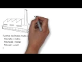 JavaScript the Basics - Object Constructor Function