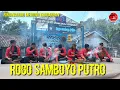 JARANAN ROGO SAMBOYO PUTRO LIVE RINGIN AGUNG MEDOWO KANDANGAN KEDIRI