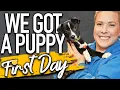 Your Complete First Day Home Puppy Training Schedule