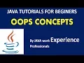 Java Tutorial Java OOPS Concepts with examples Part 1