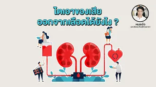 ทำไมไตขนาดเล็กจึงสามารถกรองเลือดได้ดี