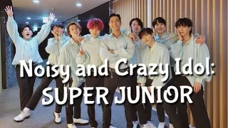 Download SUPER JUNIOR: Noisy and Crazy Idol🤪🥸 MP3