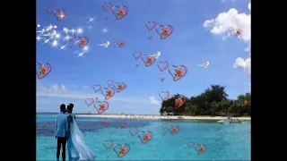 حالات واتس عبد الحليم الهوا هوايا 