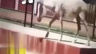 ياعيني ياسيد على الايام 