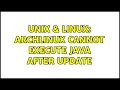 Unix Linux archlinux cannot execute java after update