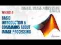 Tutorial 1 Basics About Digital Image Processing DIP in MATLAB Image Processing Tutorials