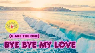 Southern All Stars Bye Bye My Love U Are The One 