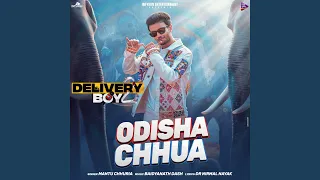 Ame Odisha Chhua Bhari Badhia