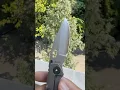 Download Lagu MAGICAL Blade On This Titanium Folding Knife #edc #edcknife #blade #foldingknife #knifereview