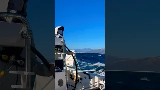 🏎️15 knots was the top speed sailing from Monterey to San Simian 🏎️ #ourladydefiant #yachtracing