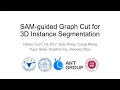 SAM-guided Graph Cut for 3D Instance Segmentation