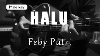 Download Halu - Feby Putri Male Key ( Acoustic Karaoke ) MP3