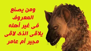 قصة مثل   ومن يصنع المعروف في غير أهله يلاقي الذي لاقى مجير أم عامر دندنها