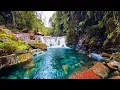 Lagu Akustik Terbaik untuk Cafe • Santai • Nongkrong | Chill Acoustic Playlist 2025